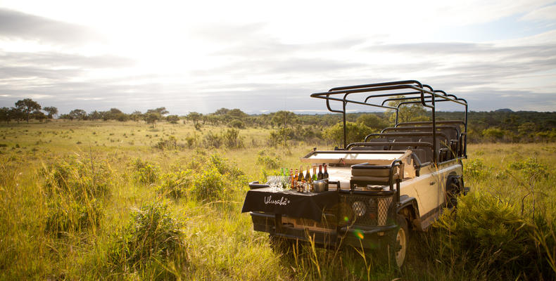 Ulusaba - On Safari